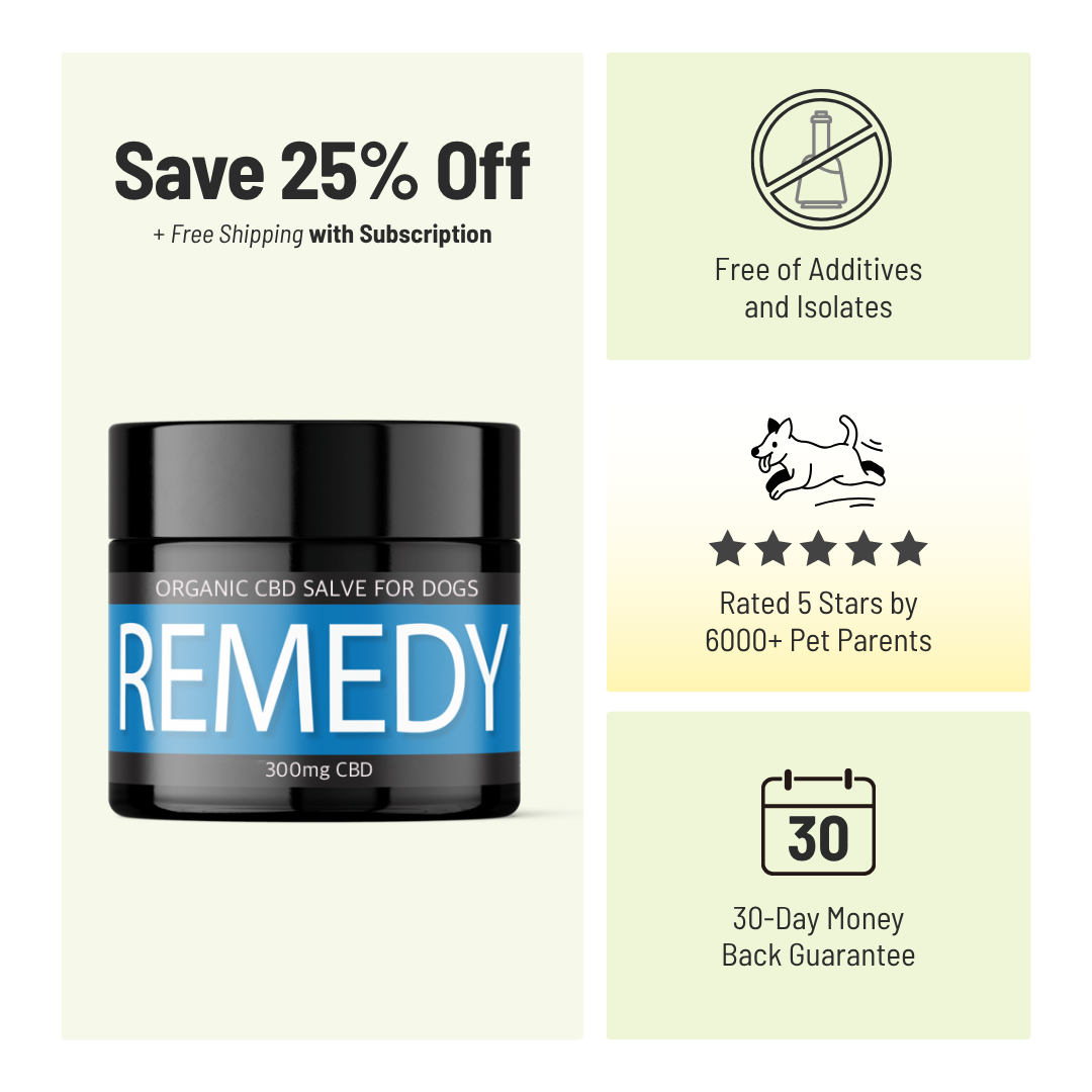 REMEDY for Dogs: Lumps & Bumps