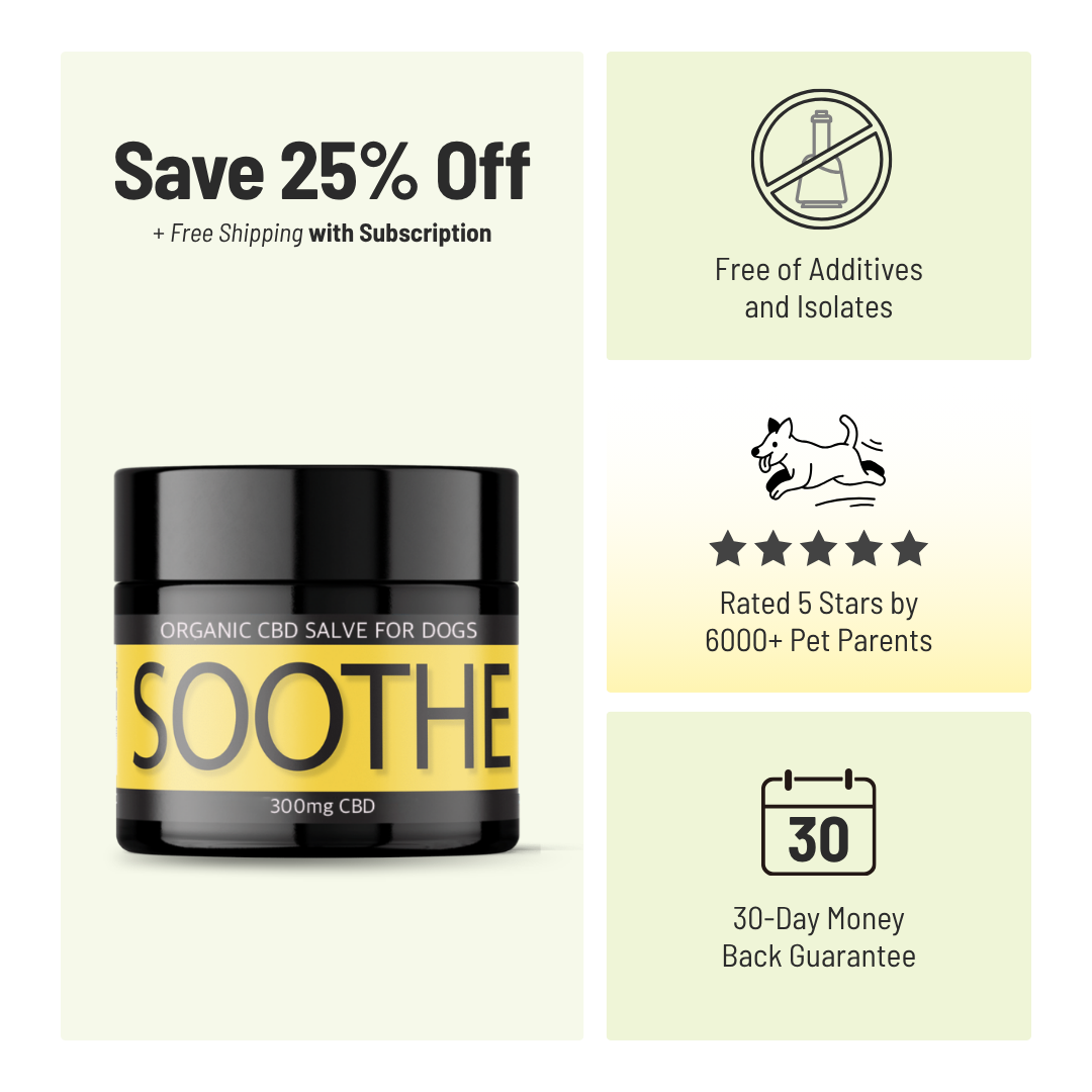 SOOTHE for Dogs: Itchy, Irritated Skin