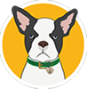 CBD Dog Health