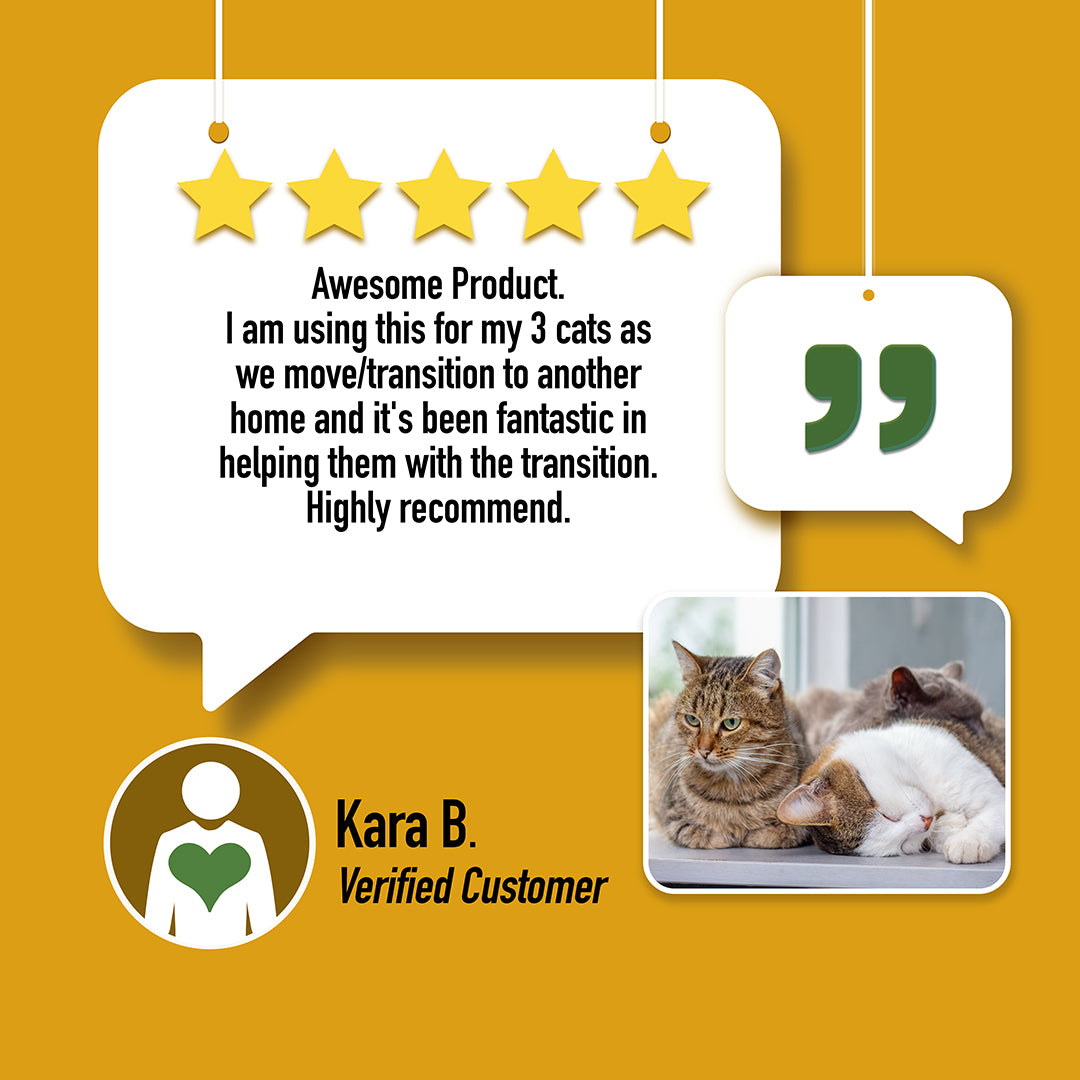 calming cbd oil for cats cbd for cat stress calm cat