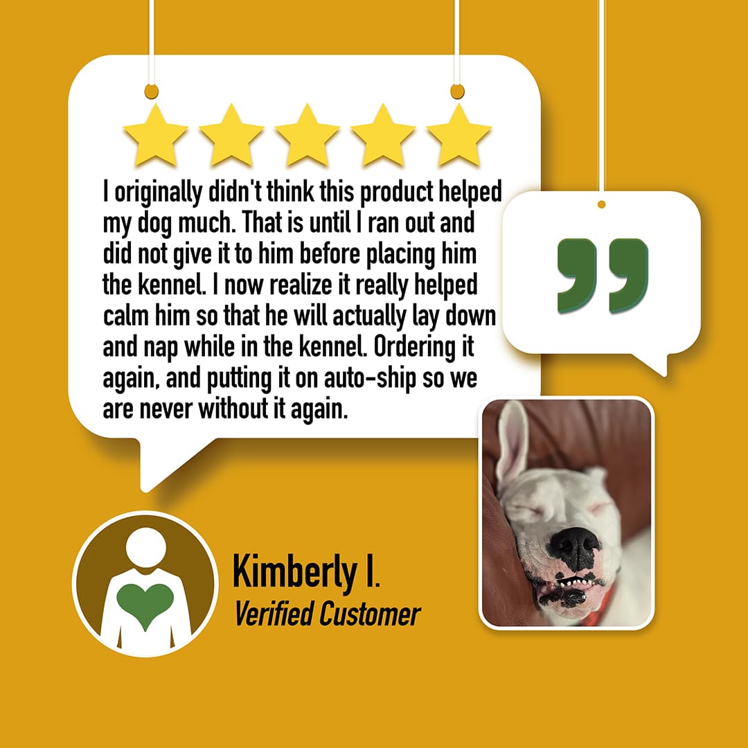 calm cbd oil for dogs review calming kennel training sleep restless satisfied