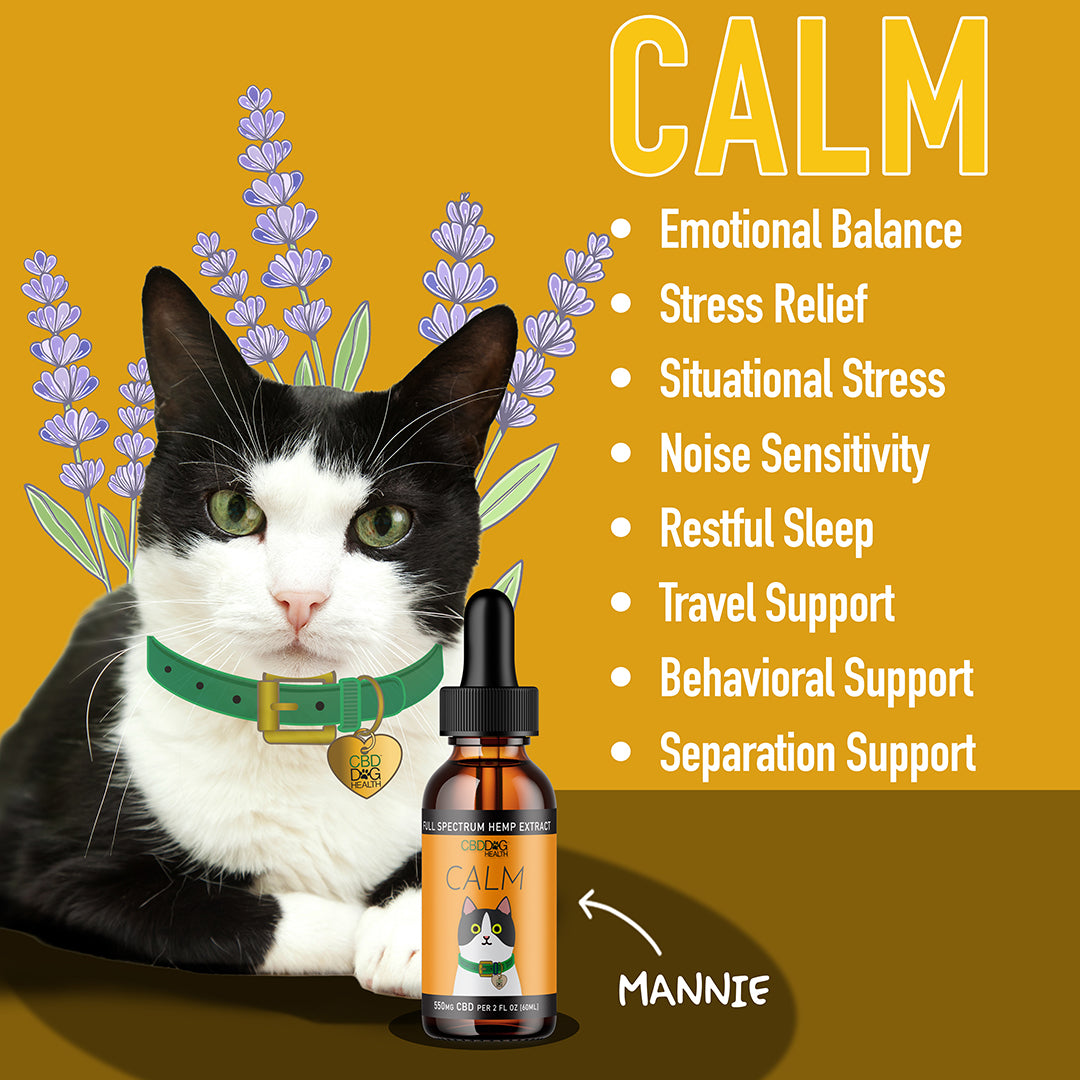 calming cbd oil for cats safe cbd for cat stress calm cat cbd calming hemp for cats
