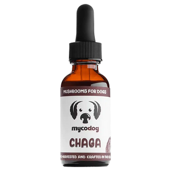 Chaga by MycoDog