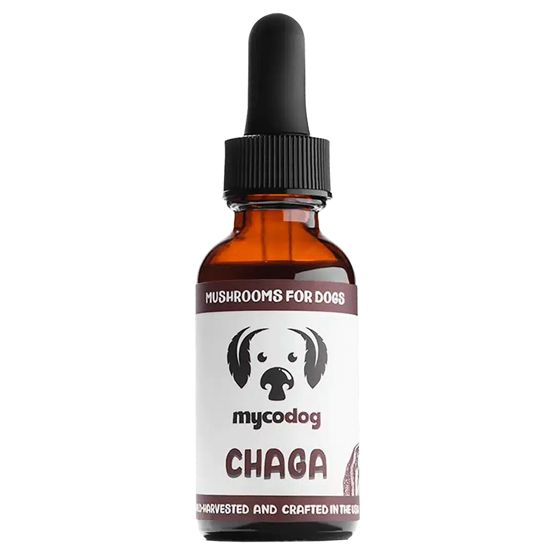 chaga for dogs chaga for pets