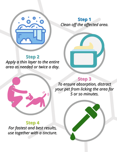 Applying Topical CBD For Cats
