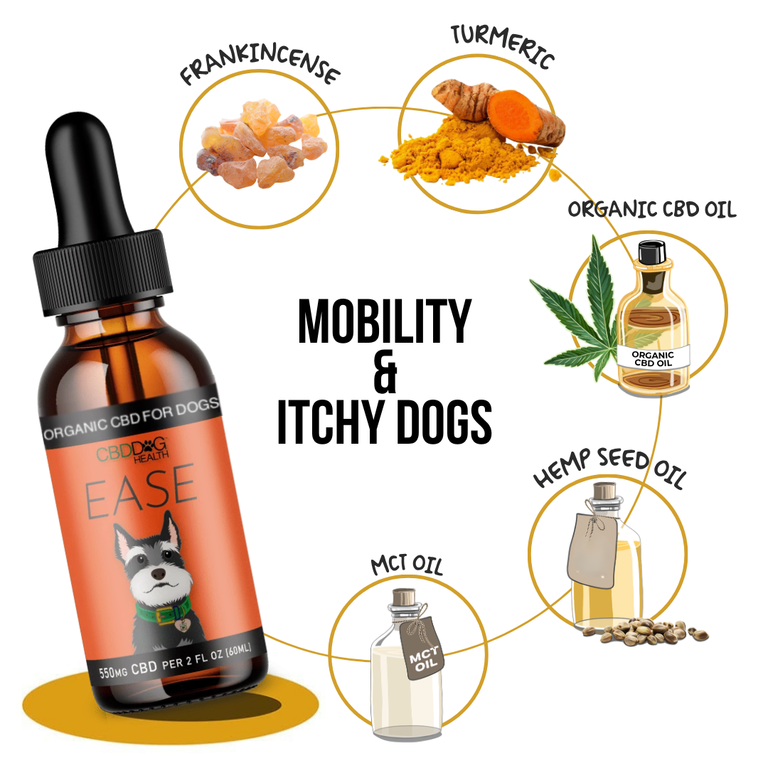 EASE: Mobility & Itchy Dogs