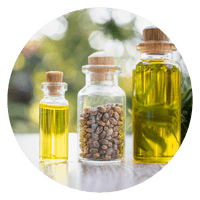 MCT Oil