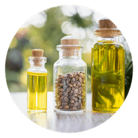 Full Spectrum hemp extract for dogs endocannabinoid system
