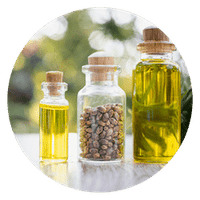 Full Spectrum hemp extract for dogs endocannabinoid system