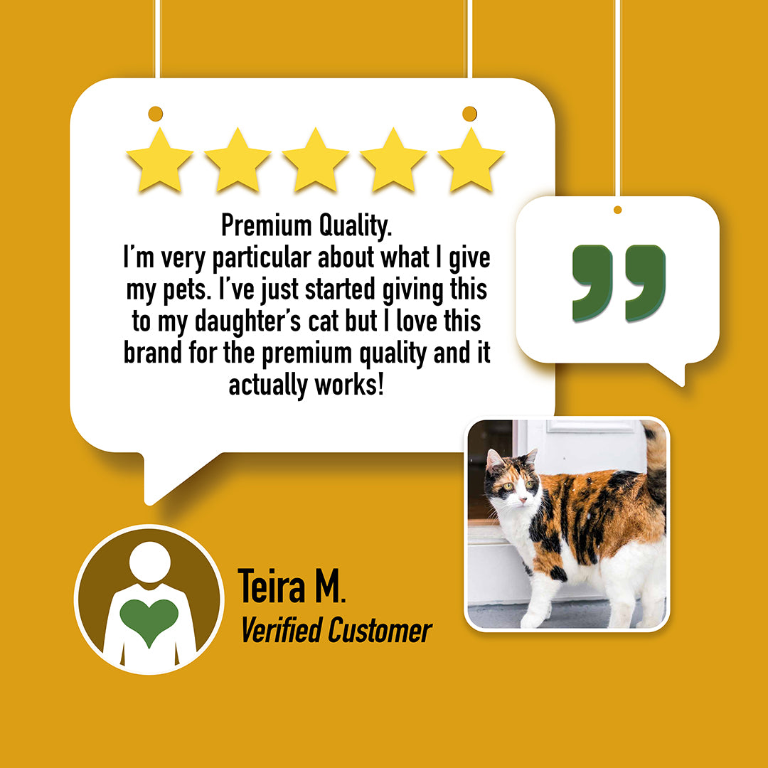 cat cbd review testimonial heal cbd oil for cats full spectrum cbd oil for cats
