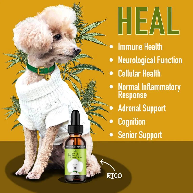 HEAL: Immune & Inflammatory Balance for Dogs