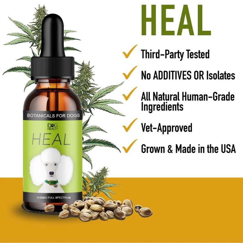 HEAL: Immune & Inflammatory Balance for Dogs