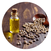 Hemp Seed Oil