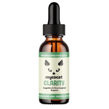 Clarity by MycoCat