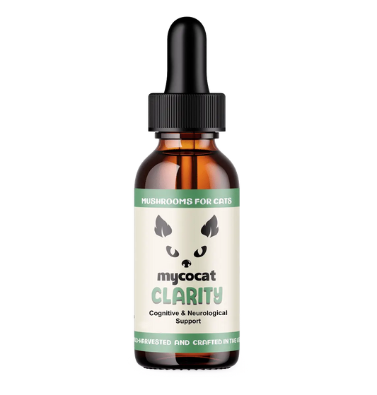 MycoCat Clarity: Cognitive & Neurological Support