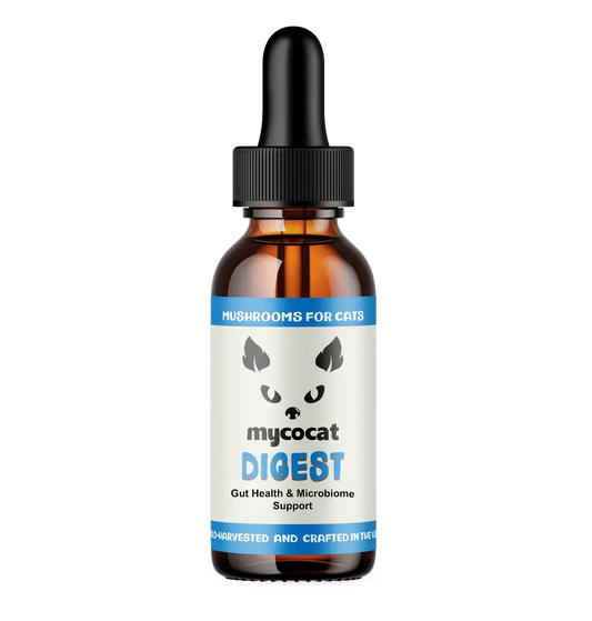 digest mycocat mushrooms for cats digestive support feline cat digestive supplement