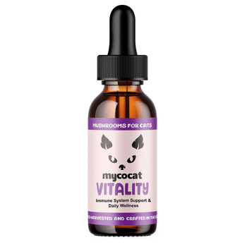 Vitality by MycoCat