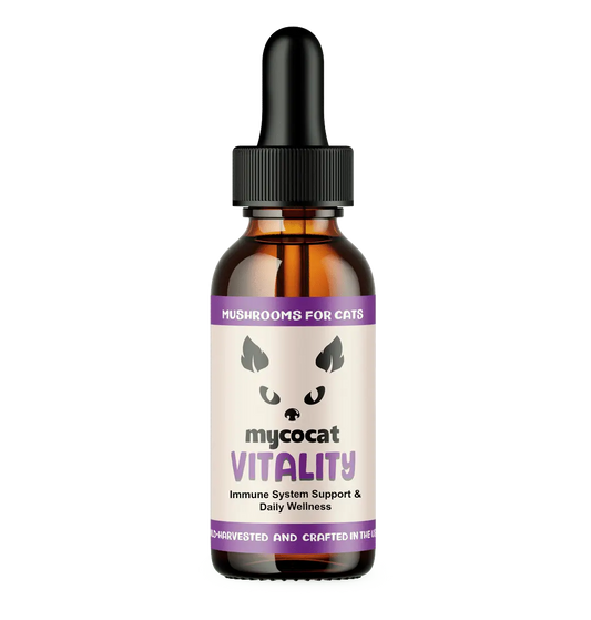 mycocat vitality mushrooms for cats immune support