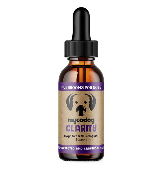 MycoDog Clarity: Cognitive & Neurological Support