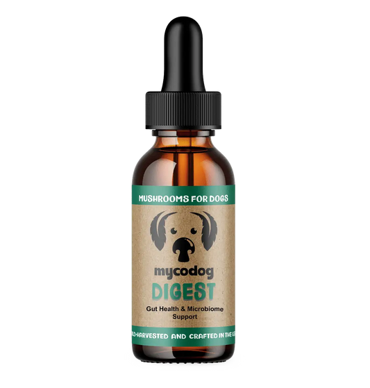 MycoDog Digest: Digestive Health