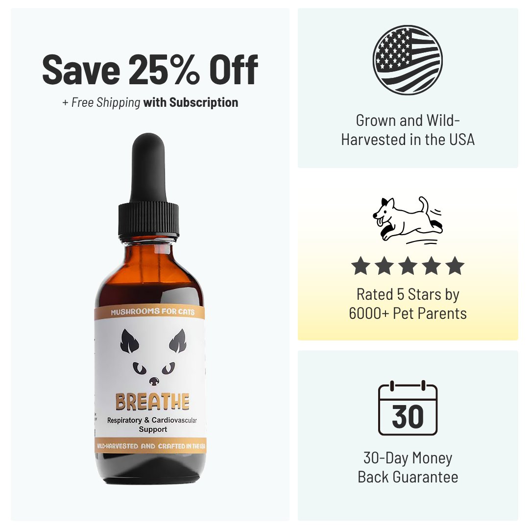 MycoCat Breathe: Respiratory & Cardiovascular Support