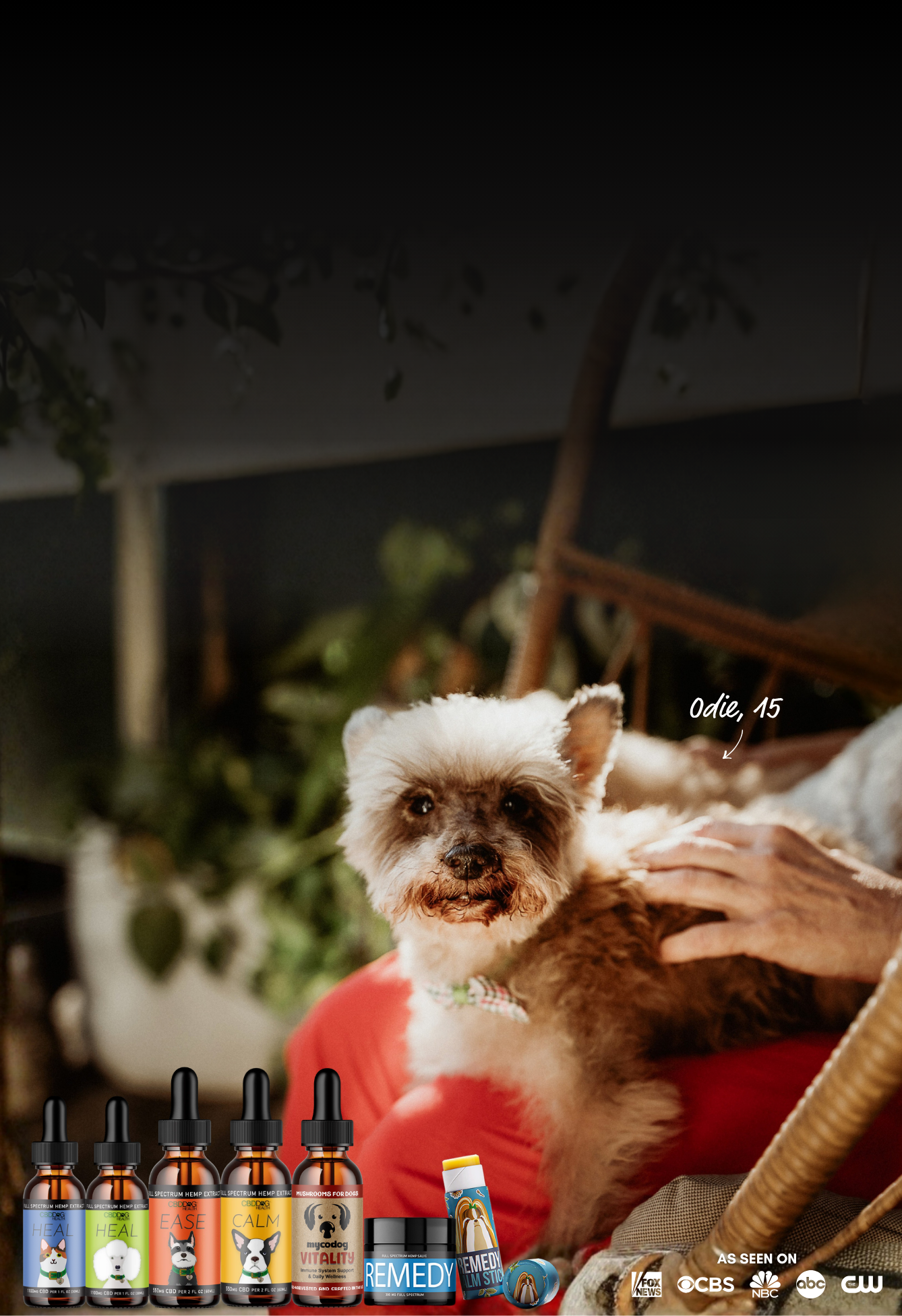 CBD Products For Pets