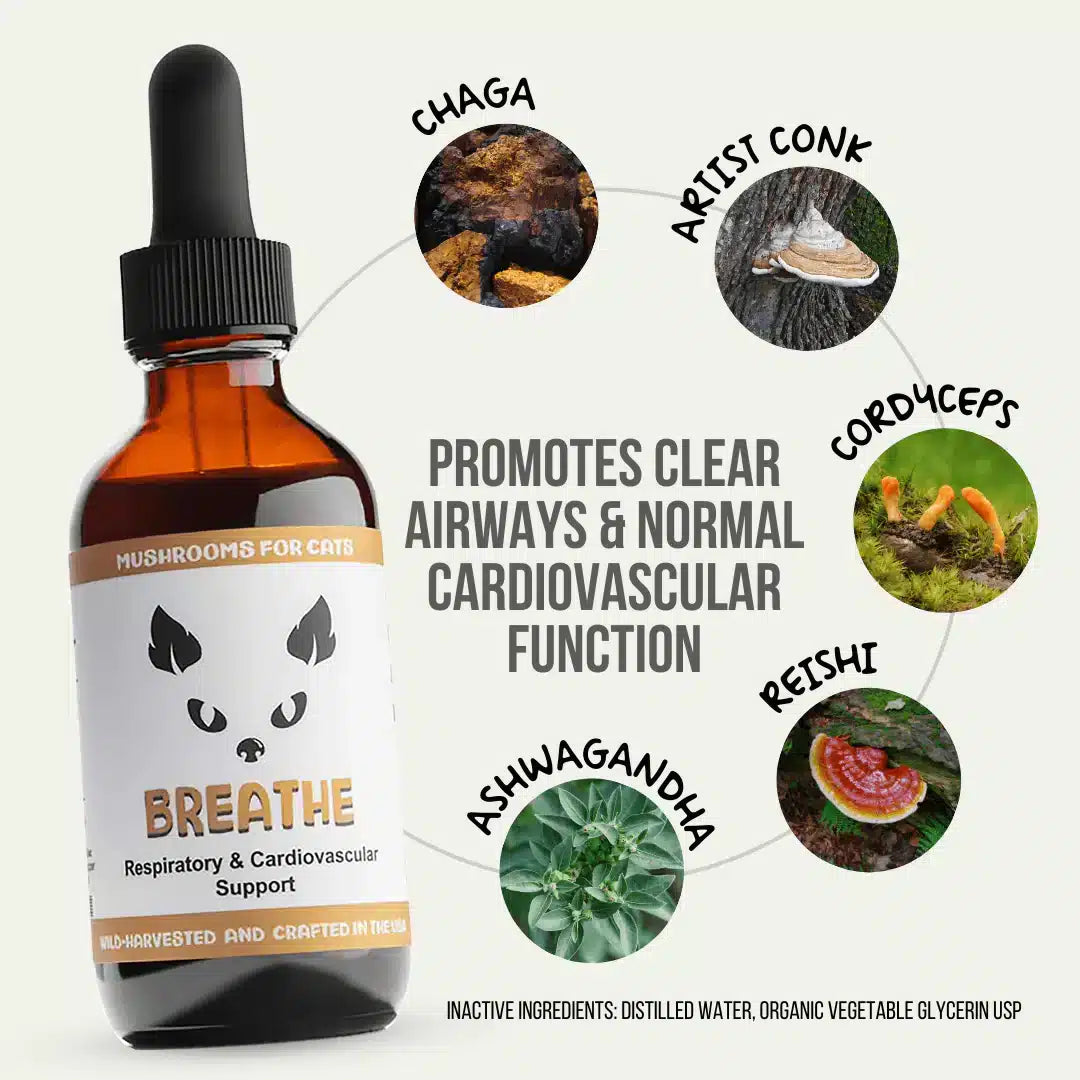 MycoCat Breathe: Respiratory & Cardiovascular Support - Image 2