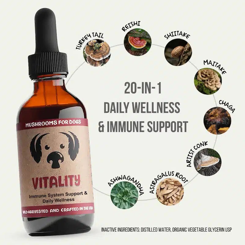 mycodog's vitality mushrooms for dog tincture