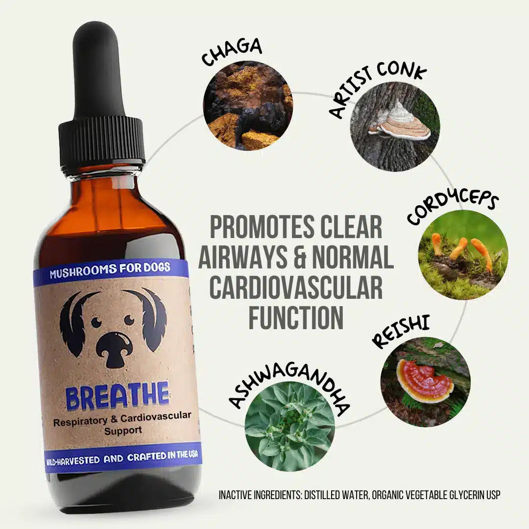 Breathe Easy - Image 2