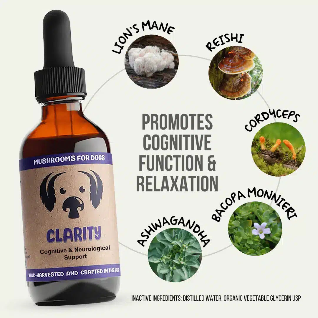 MycoDog Clarity: Cognitive & Neurological Support - Image 3
