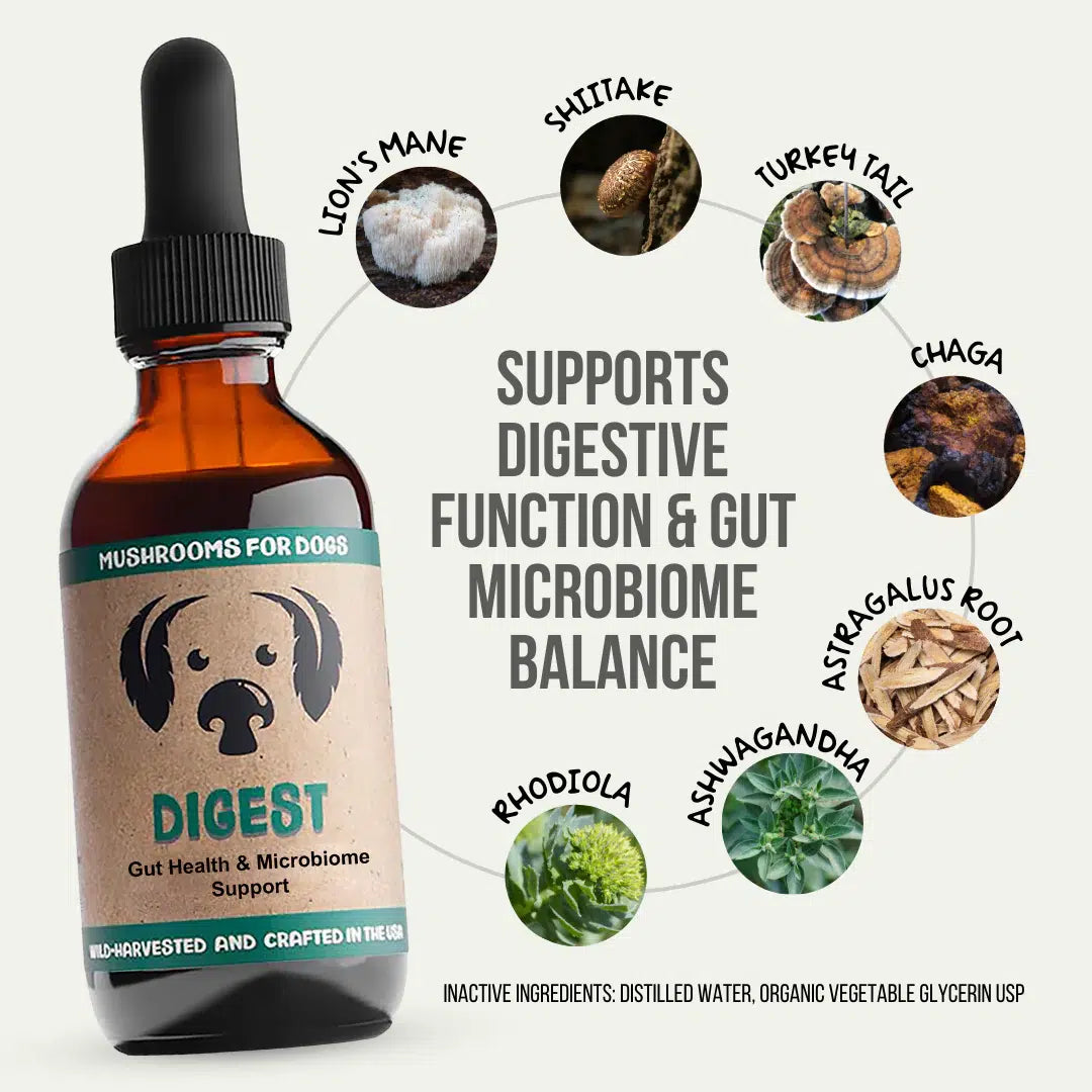 MycoDog Digest mushroom blend for dog gut health mushrooms for dogs gut digestion