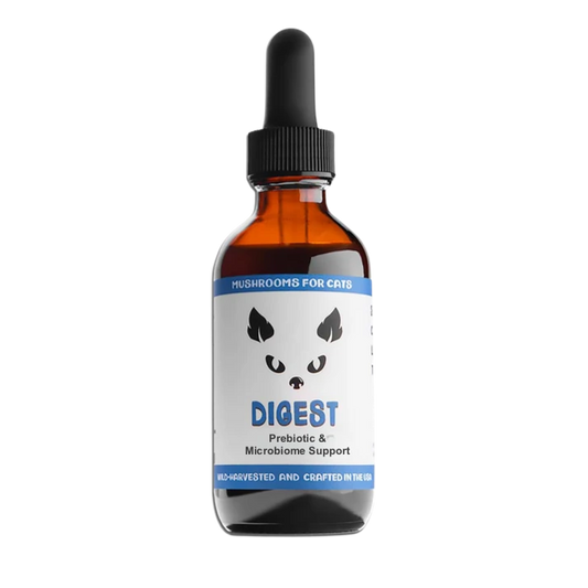 MycoCat Digest: Prebiotic & Microbiome Support