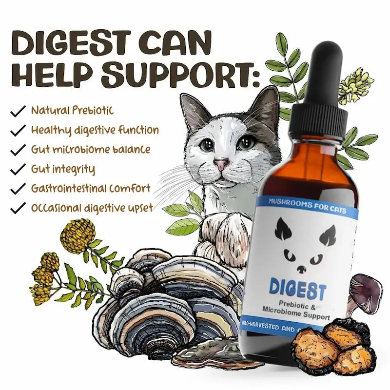 MycoCat Digest: Prebiotic & Microbiome Support