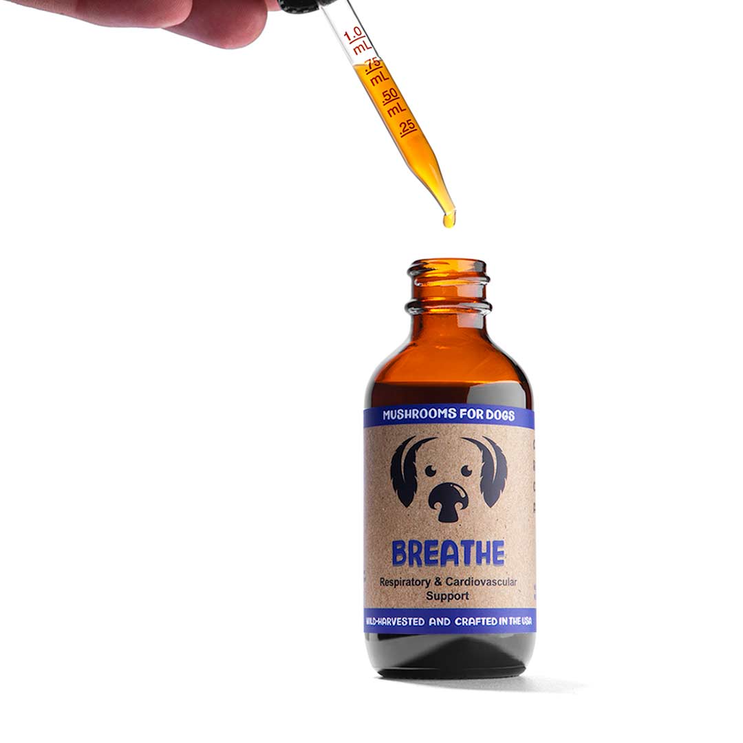 MycoDog Breathe mushrooms for respiratory issues dogs cardiovascular breathing supplement