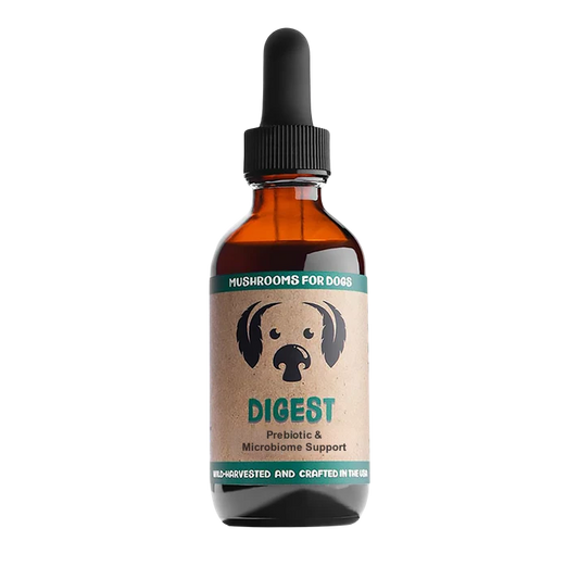 MycoDog Digest: Prebiotic & Microbiome Support