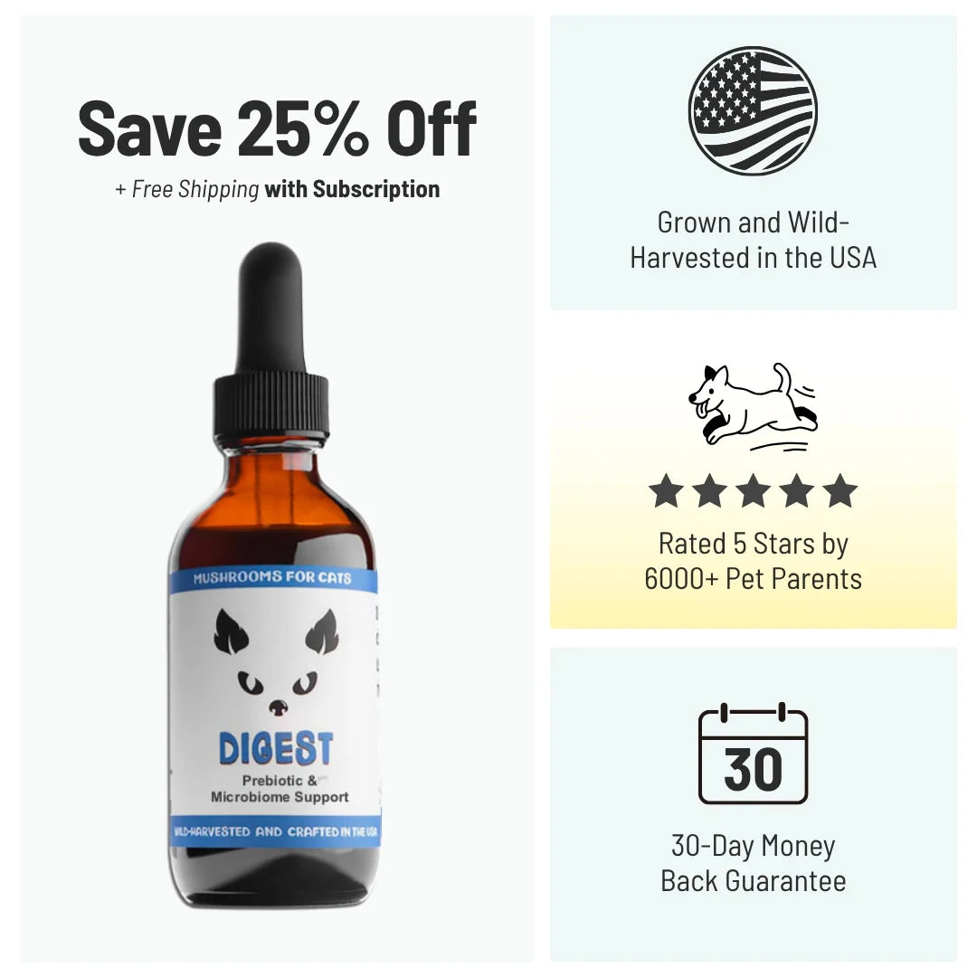 MycoCat Digest: Prebiotic & Microbiome Support