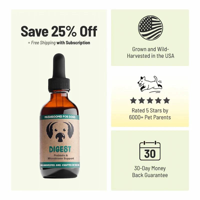 MycoDog Digest: Prebiotic & Microbiome Support