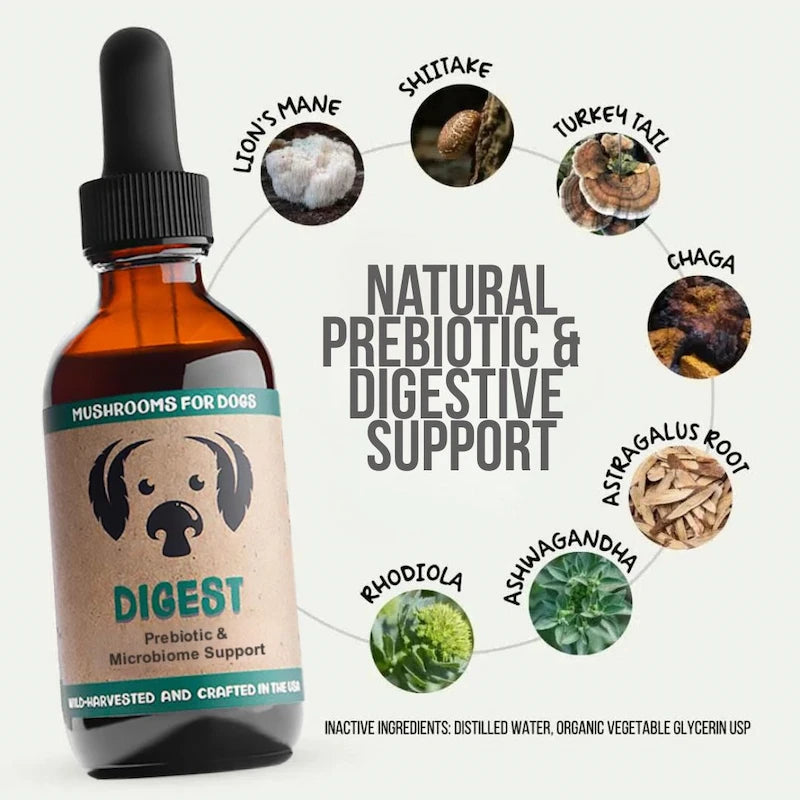 MycoDog Digest: Prebiotic & Microbiome Support