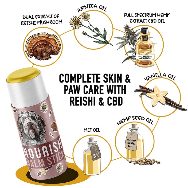 Nourish Balm stick for dogs pets Reishi mushroom for dogs CBD balm stick dog paw balm