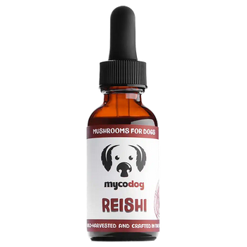 Reishi by MycoDog