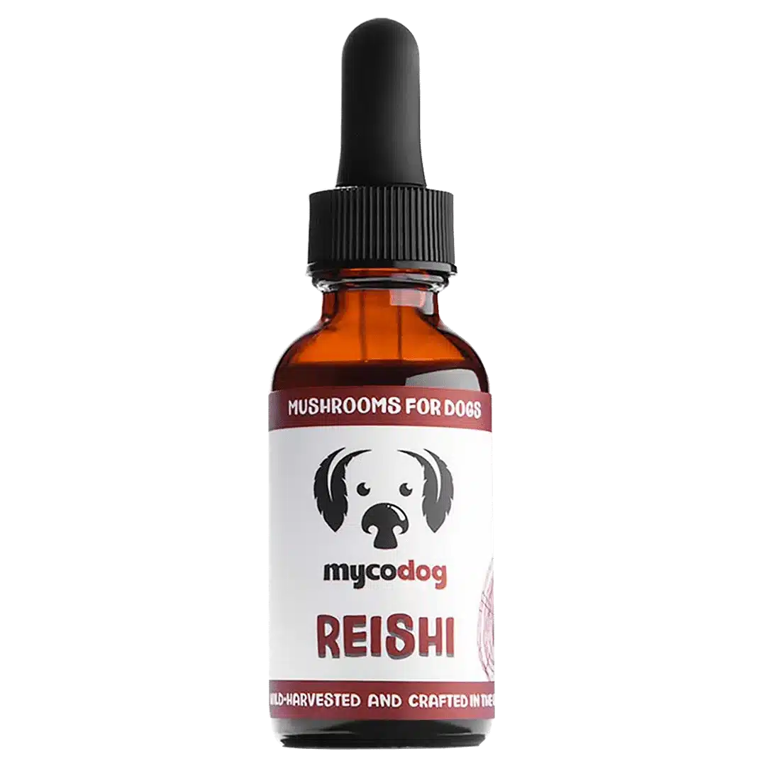 reishi for dogs