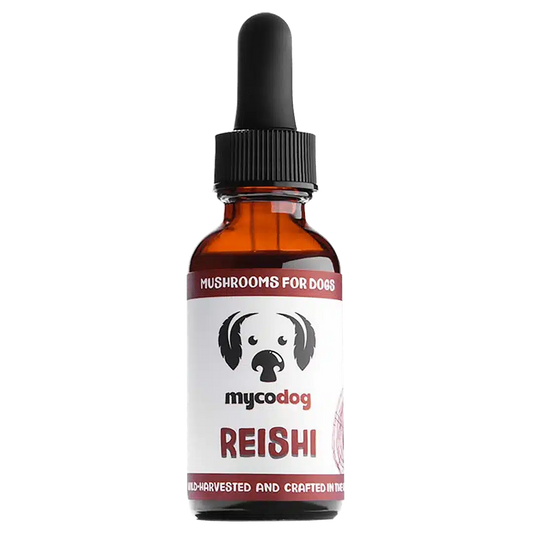 reishi for dogs
