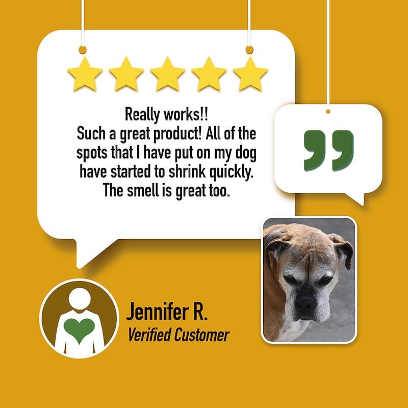Remedy for dogs cbd review