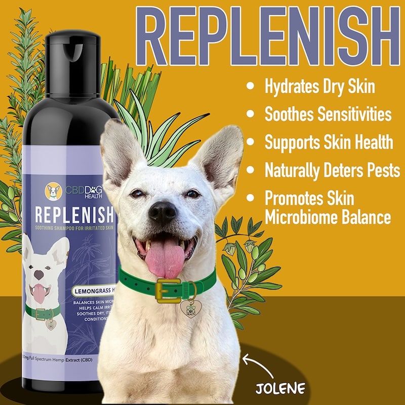 Replenish CBD Dog Shampoo benefits dry skin itchy skin microbiome