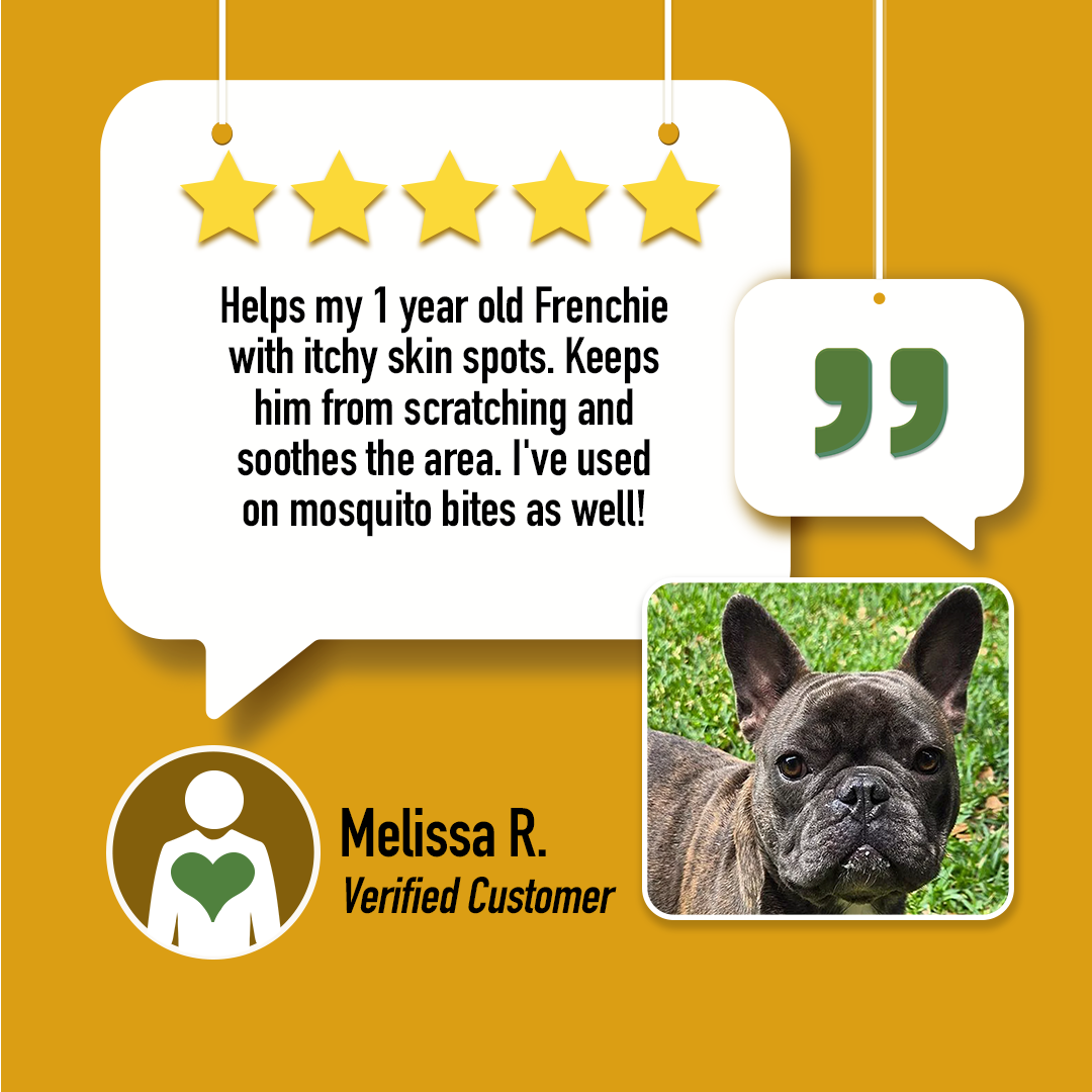 photo of a customer review for our soothe cbd topical natural salve for dogs