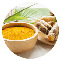 Turmeric for dogs joints mobility inflammation