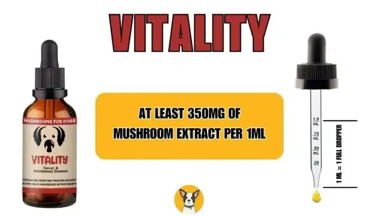 Dosing Mushrooms for dogs