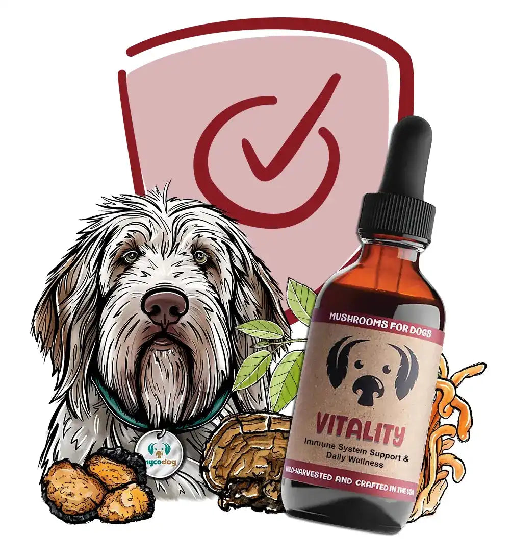 vitality check for Dog immune