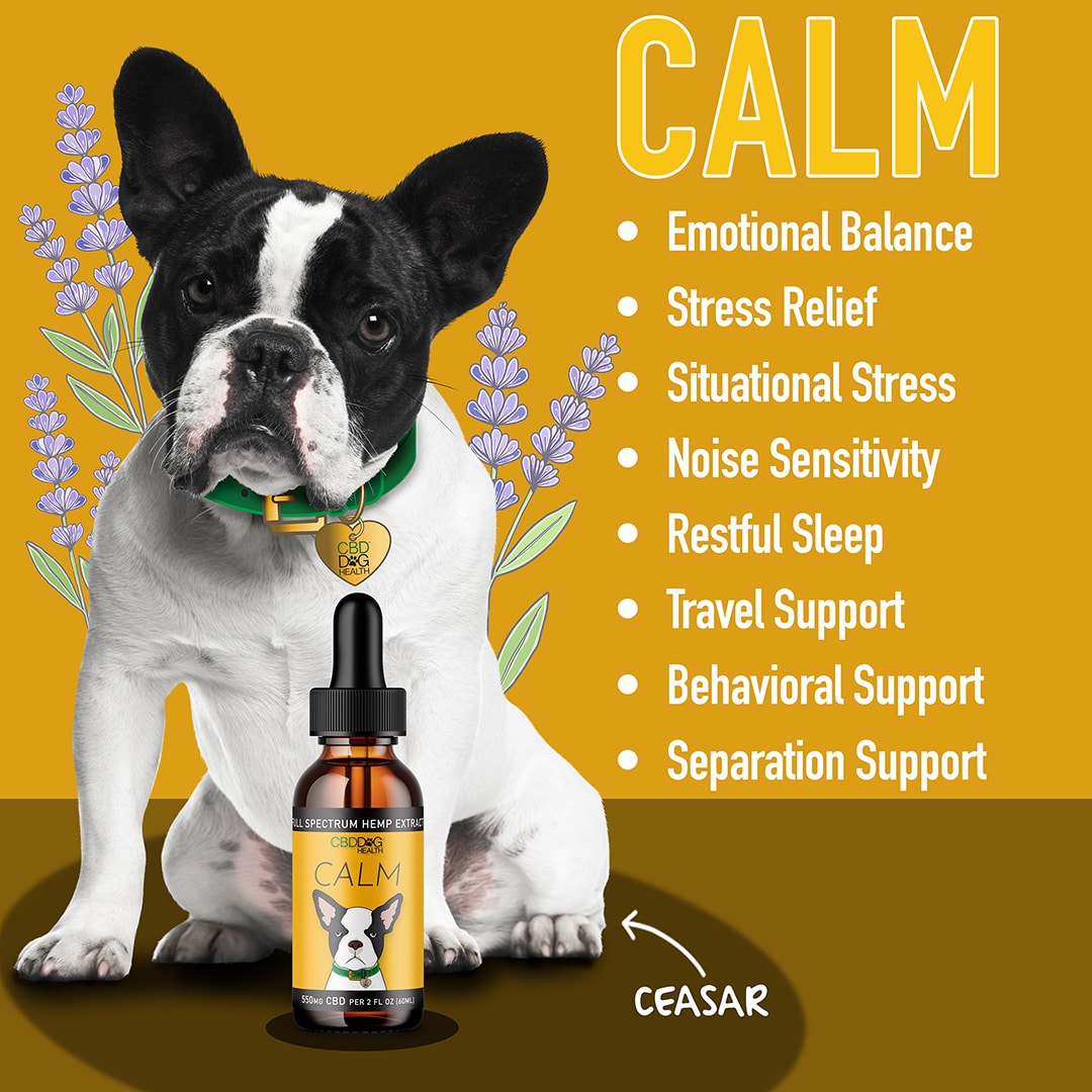 calm cbd oil for dogs calming cbd for dogs stress sleep separation travel noise fireworks thunder storms behavior restless sleep