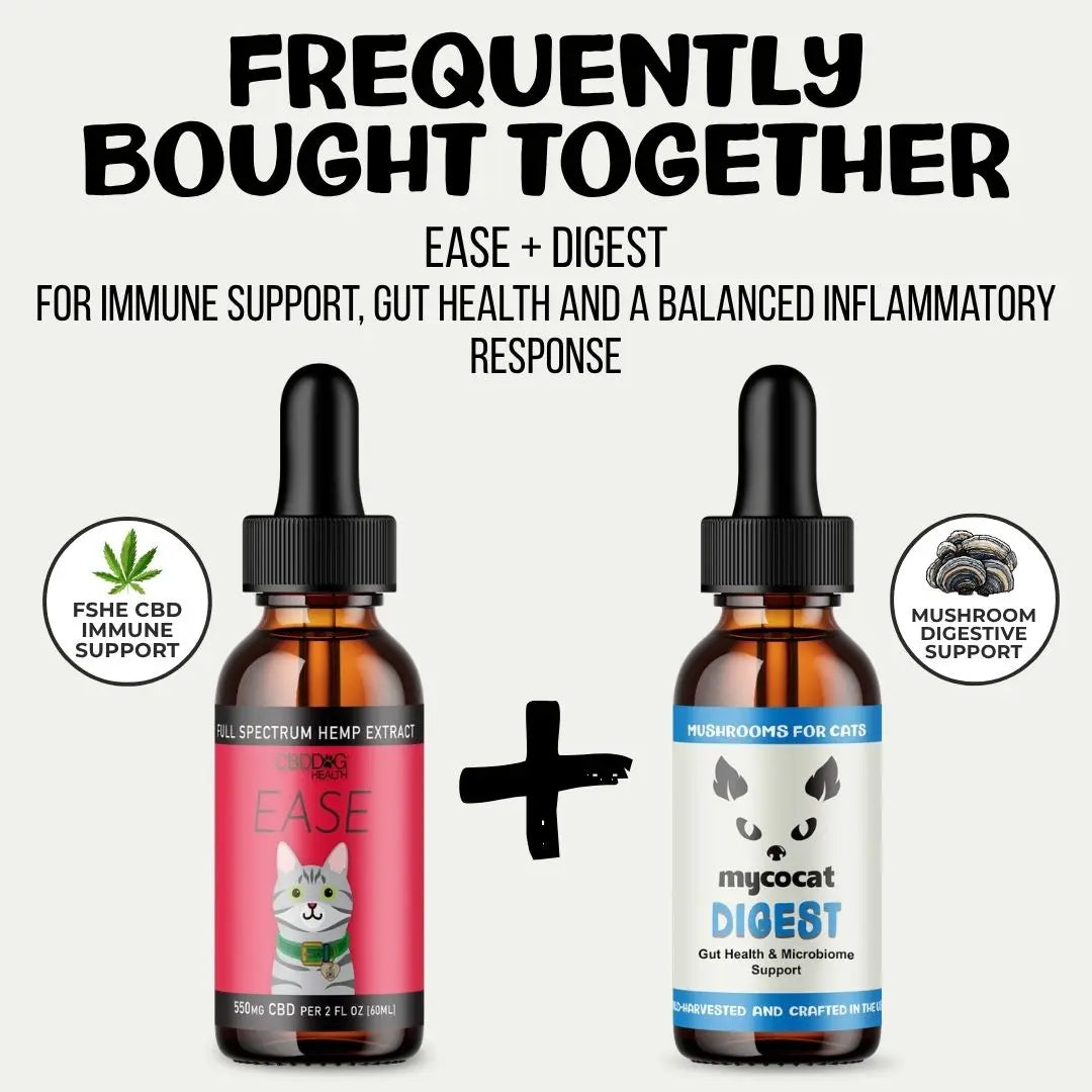 MycoCat Digest: Gut & Microbiome Support